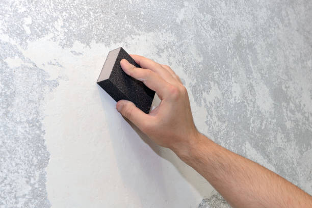 Best HVAC Mold Inspection and Cleaning  in Camden, TN