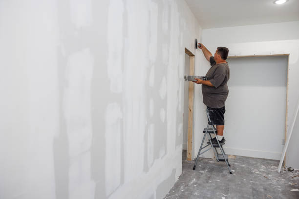 Best Industrial Mold Remediation  in Camden, TN
