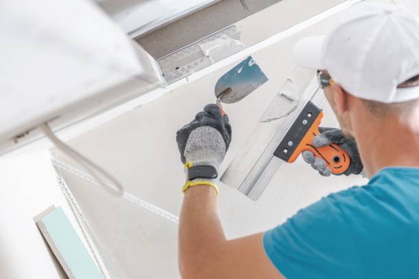 Best Mold Removal for HVAC Installations  in Camden, TN